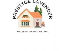 Discover the Ultimate in Urban Living at Prestige Lavender Fields, Whitefield