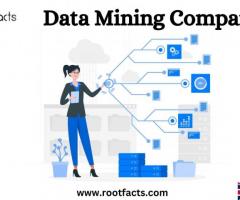 Data Mining Company