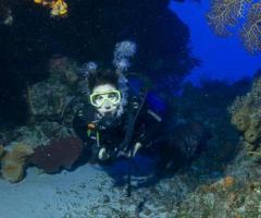 Scuba diving Cozumel - 1