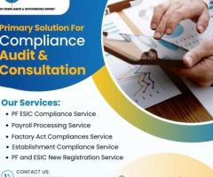 Professional Audit and Consulting Services for Businesses
