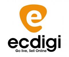Online Store Builder | ecDigi