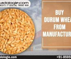 Buy Durum Wheat From Manufacturer
