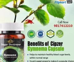 Gymnema Capsule helps Lower Blood Sugar Levels, & reduces Heart Disease Risk.