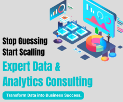 Stop Guessing, Start Scaling: Expert Data & Analytics Consulting