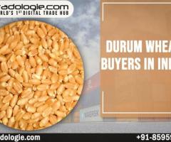 Durum Wheat Buyers In India