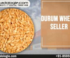 Durum Wheat Sellers