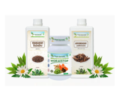 Ayurvedic Treatment For Deworming - Deworming Care Pack By Planet Ayurveda