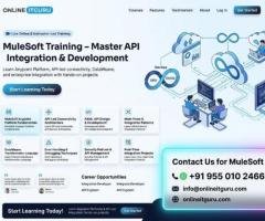 Mulesoft training