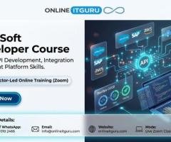 Mulesoft developer training
