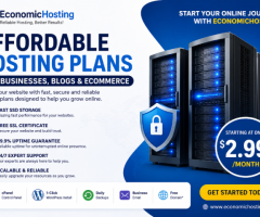 Affordable Hosting Plans for Every Website