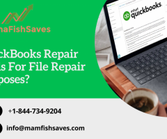 What Are Different QuickBooks Repair Tools for File Repair Purposes?