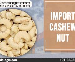 Import Cashew Nut