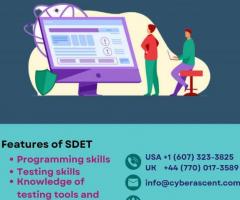 SOFTWARE DEVELOPMENT ENGINEER IN TEST LEARNING COURSE