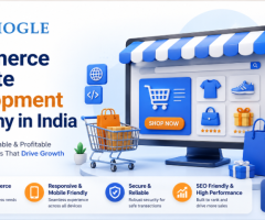 Ecommerce Website Development Company in India | Visiogle