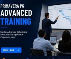 Primavera P6 Advanced Training for Project Professionals