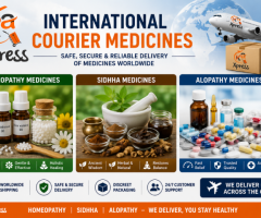 CHEAPSET INTERNATIONAL COURIER SERVICES