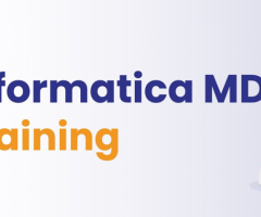 Informatica MDM Online Training Online Training Course Free with Certificate