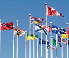Best consultants for PNP program for Canada
