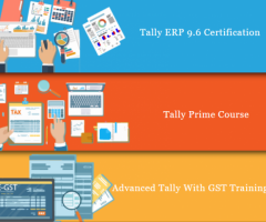 Tally Program in Laxmi Nagar, Delhi, SLA Accounting Classes, GST Institute, - 1