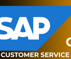 SAP CS Online Training & Certification From India