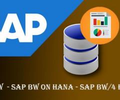 SAP BW On Hana Online Training Classes with Real Time Support From India
