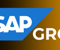 SAP GRC Online Training Realtime support from India