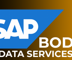 SAP BODS Online Training Institute From Hyderabad India - 1
