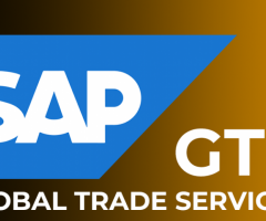 Sap GTS Online Coaching Classes In India, Hyderabad