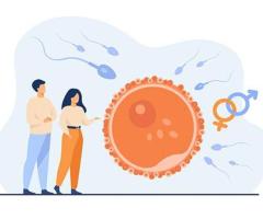 Affordable IVF Cost & Top IVF Center  Best IVF Specialist in Bangalore
