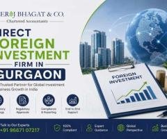 Comprehensive Direct Foreign Investment Firm in Gurgaon for Business Expansion