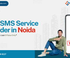 Why Shree Tripada is Best Bulk SMS Service Provider in  Noida?