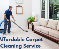 Revitalize Your Carpets, Refresh Your Home in Lara
