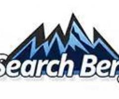 Dentists SEO Services | Dental SEO Company | Dental SEO Experts – Search Berg