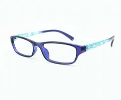 Blue Shield Reading Glasses for Men and Women