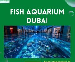 Explore the Incredible Fish Aquariums of Dubai: Unveil the Wonders of Marine Life