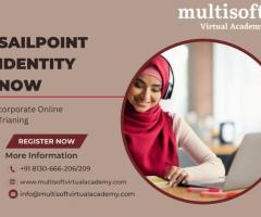 Sailpoint Identity Now Corporate Online Training