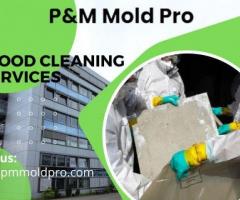 Affordable Flood Cleaning Services at PM Mold Pro