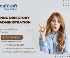 Ping Directory Administration Online Training