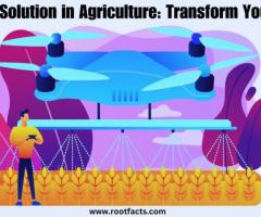 Big Data Solution in Agriculture: Transform Your Farms