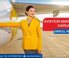 Aviation Management Institutes