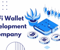 Why Newbies Should Consider a DeFi Wallet Development Company for their DeFi Journey