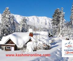 Explore the Beauty of Kashmir with Our Tour Packages