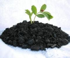 Biomass to Biochar Plant Manufacturer in India | Kerone