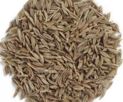 Cumin Seeds Exporters