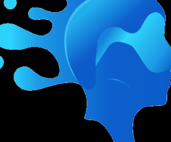 BlueBrain Technologies Pvt Ltd – Leading Digital Marketing Services in Noida