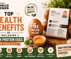 Top Health Benefits of Including High Protein Eggs in Your Diet