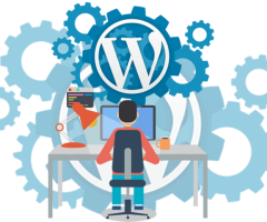 WordPress plugin development services in Delhi - Megatask Technologies