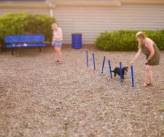 Expert Dog Park Design Services for Your Furry Friends - 1