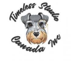 Timeless Studio Canada Inc.