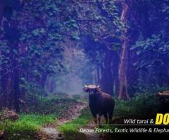 Hassle-Free Dooars Tour Packages from Kolkata
